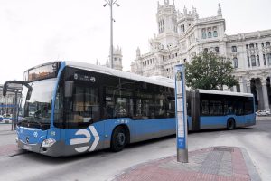 autobús