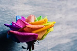 los derechos de los transexuales