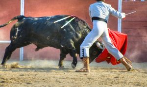 plazas de toros portátiles en Castilla y León