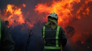Incendios Zamora y Galicia